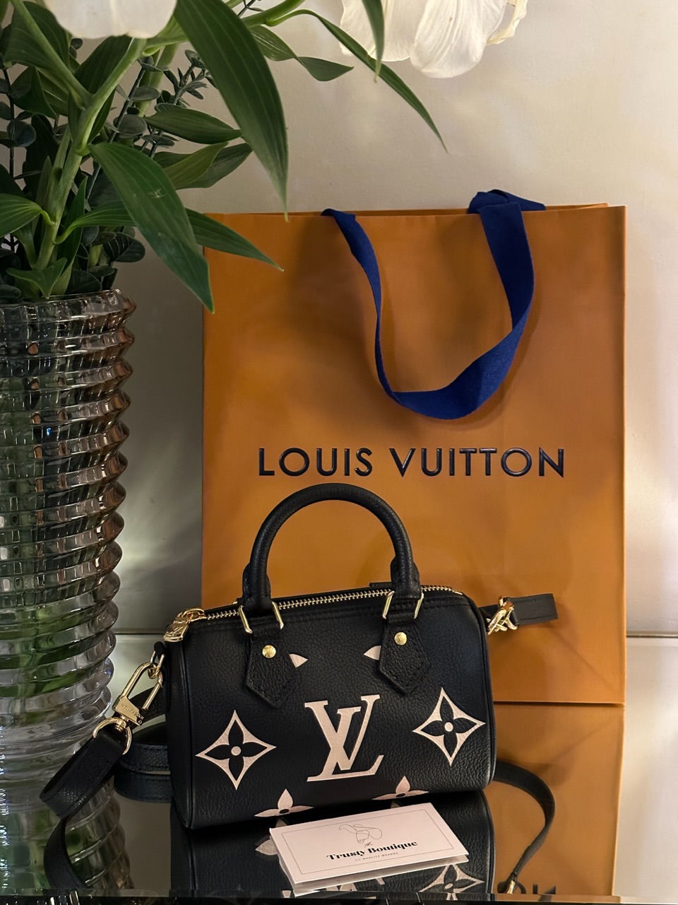 Louis Vuitton Speedy Nano Black/Beige